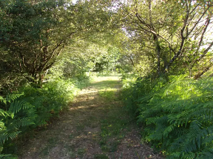 Sentier nature au Domaine de Belbèze