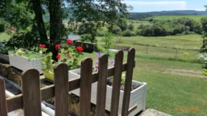 Gite des Monts de Lacaune - Gîte Toucan