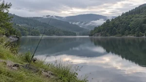 pêche au lac de la Raviège depuis La Salvetat-sur-Agout